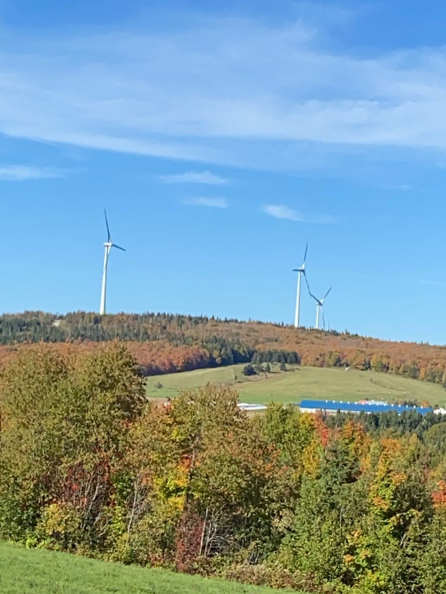 automne eoliennes.jpg